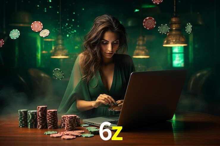 6z - Installation Guide
